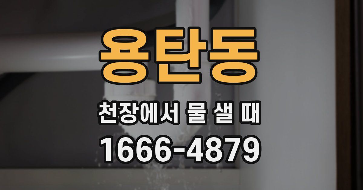 용탄동 천장에서 물 샐 때