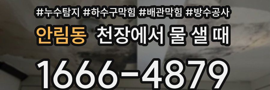 안림동 천장에서 물 샐 때