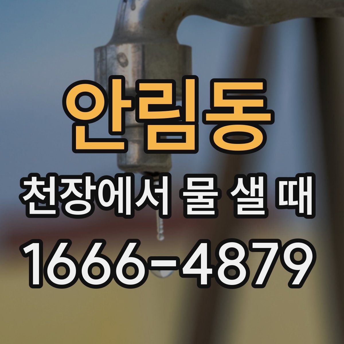 안림동 천장에서 물 샐 때