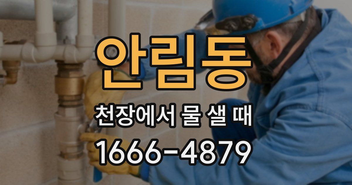 안림동 천장에서 물 샐 때