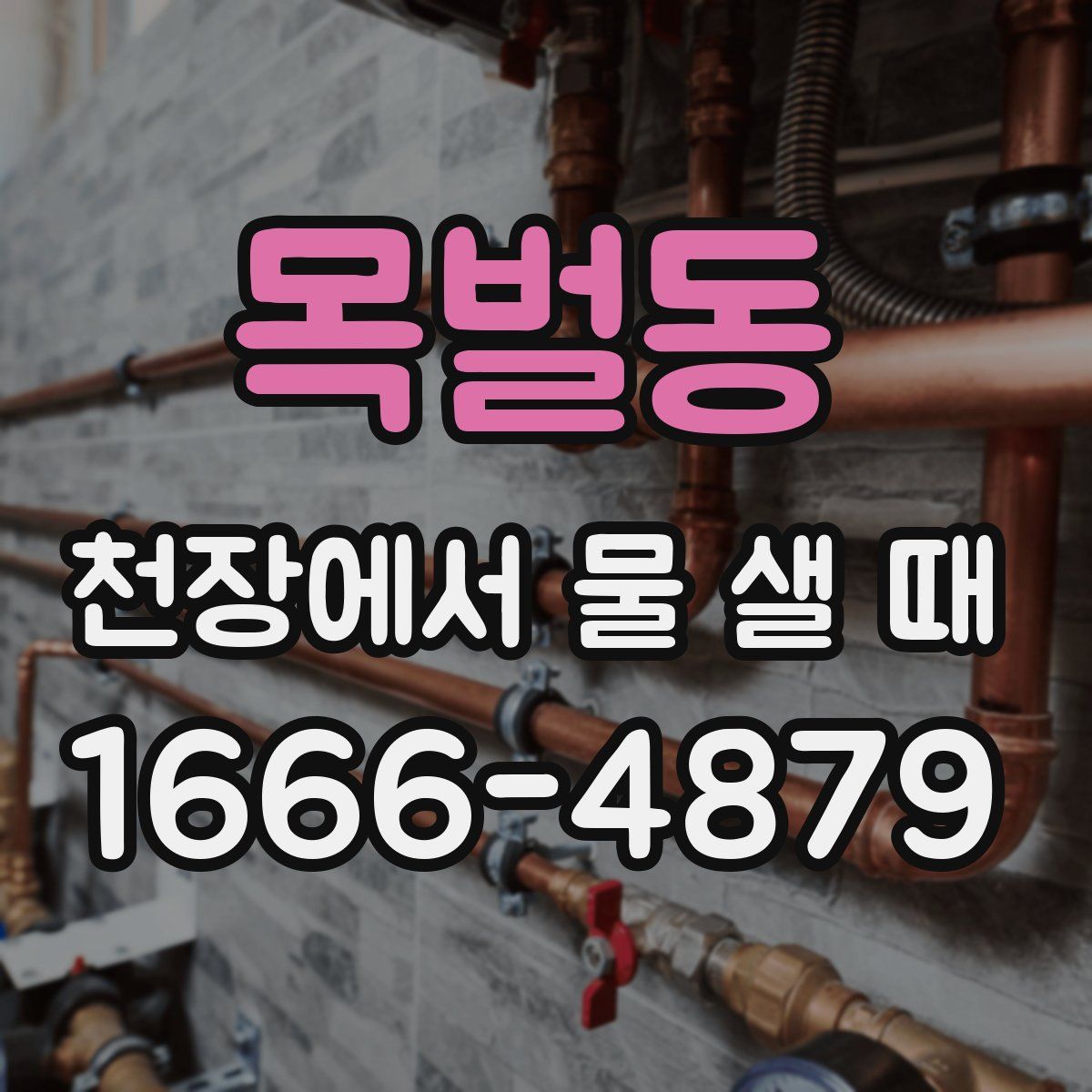 목벌동 천장에서 물 샐 때