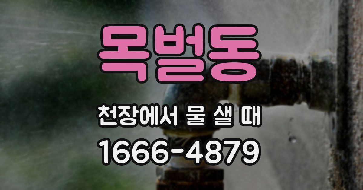 목벌동 천장에서 물 샐 때
