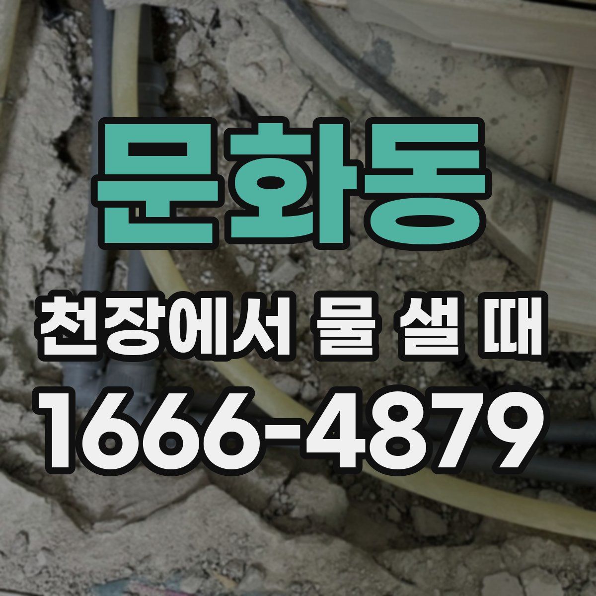 문화동 천장에서 물 샐 때