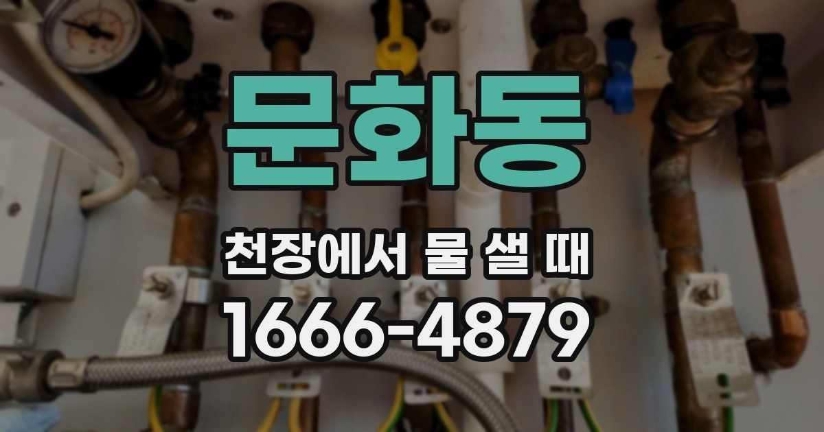 문화동 천장에서 물 샐 때