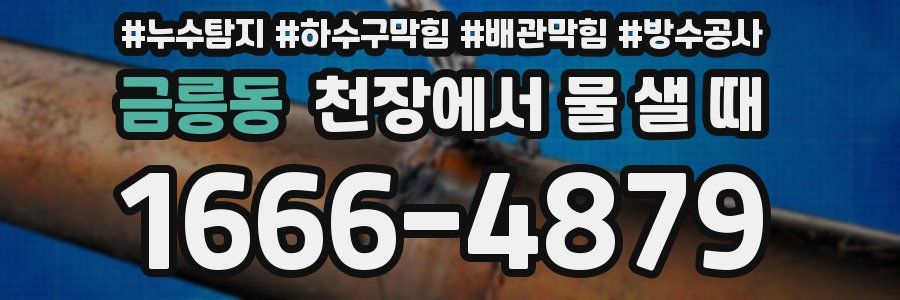 금릉동 천장에서 물 샐 때