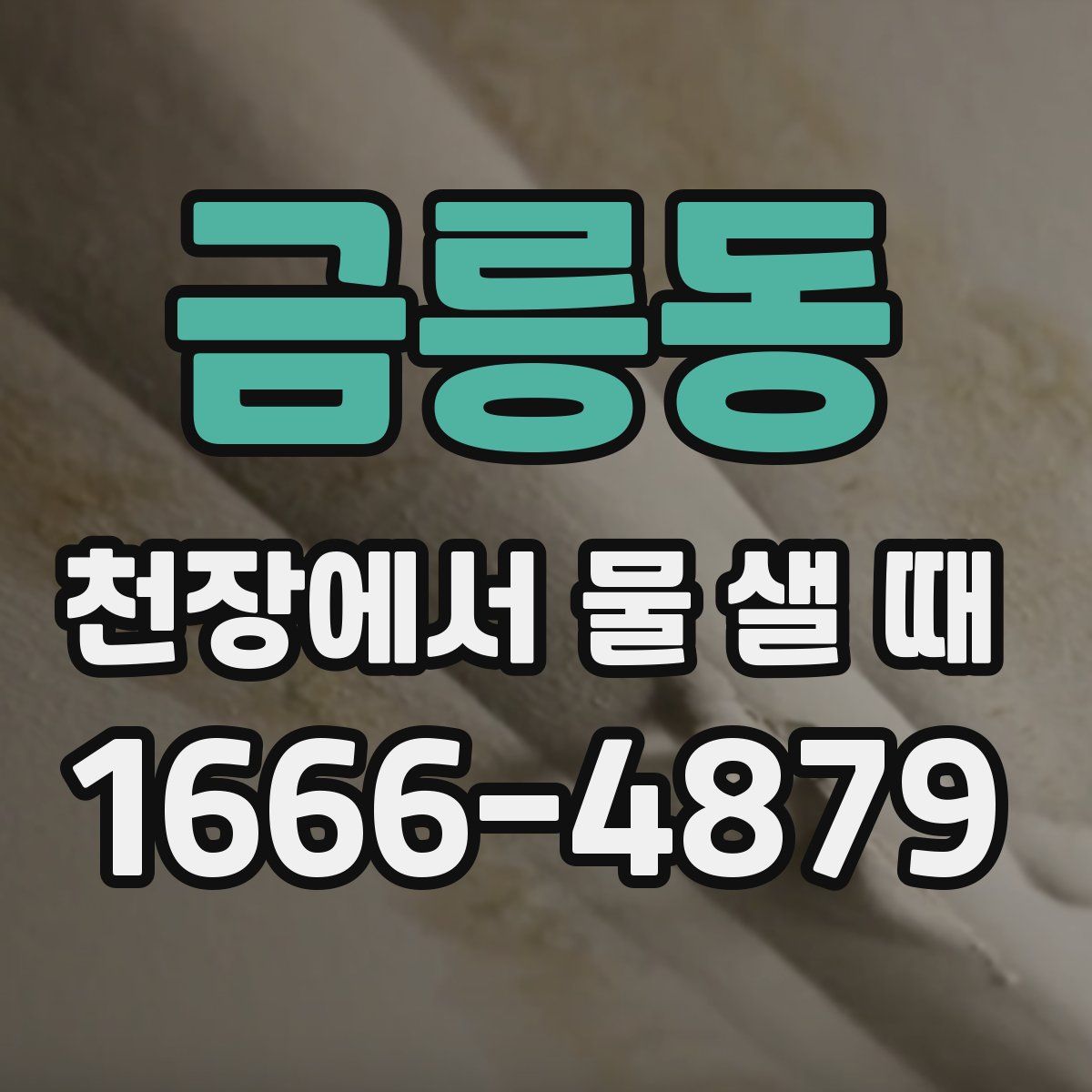 금릉동 천장에서 물 샐 때