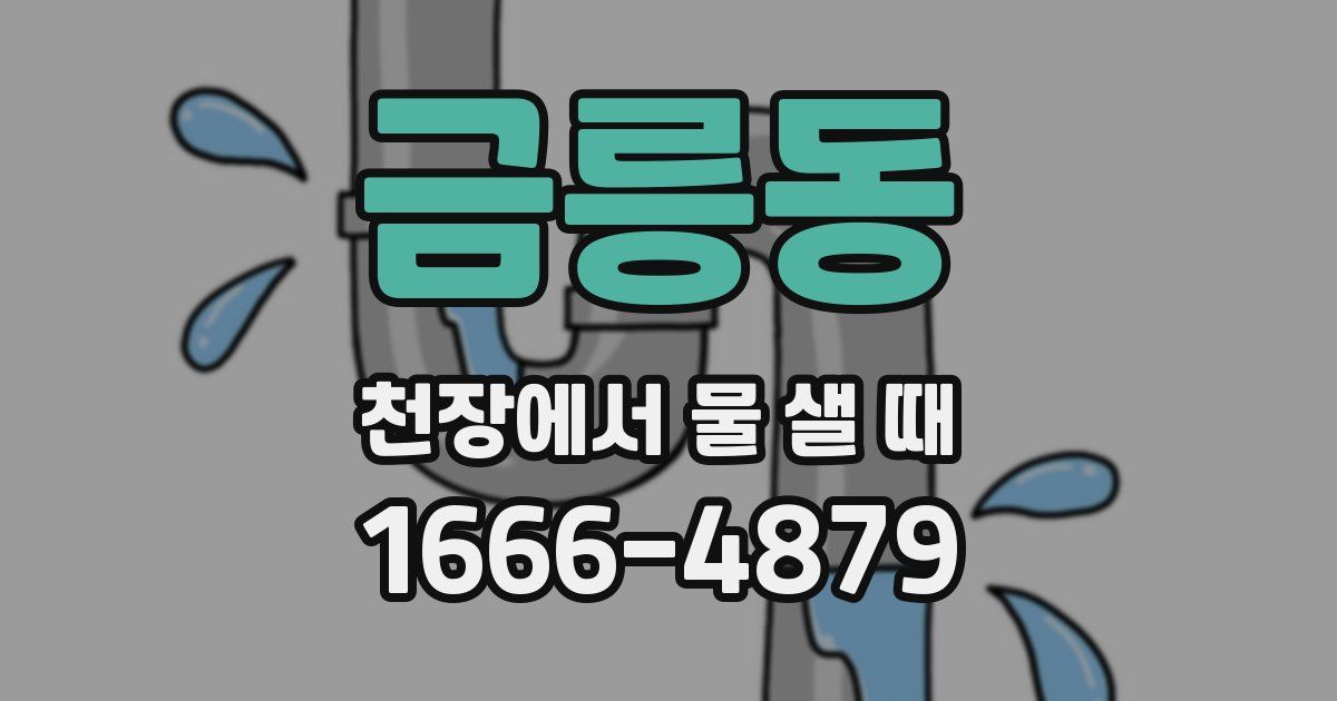 금릉동 천장에서 물 샐 때