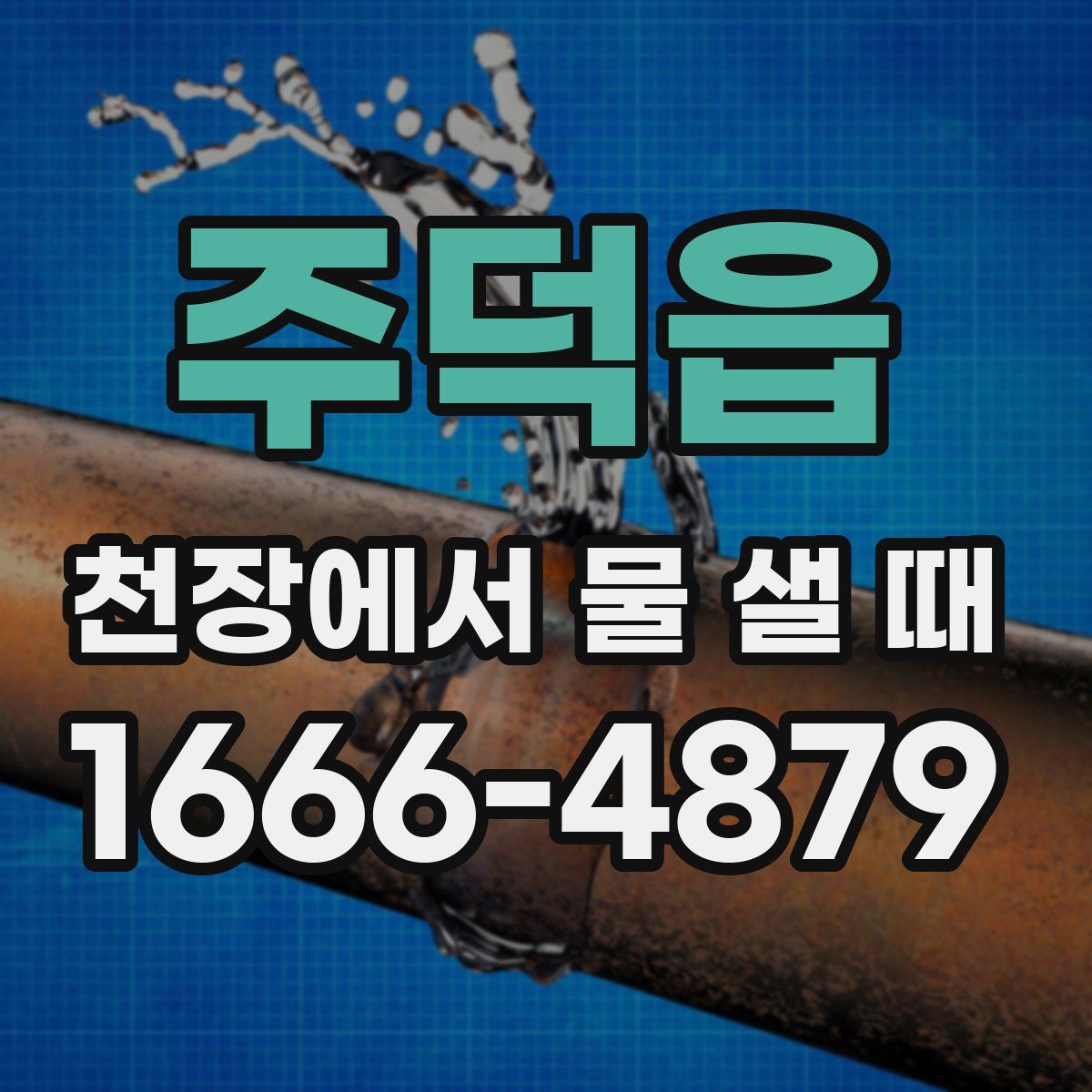 주덕읍 천장에서 물 샐 때