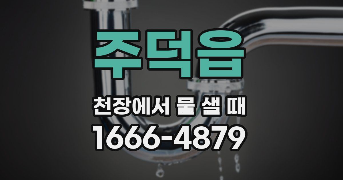 주덕읍 천장에서 물 샐 때