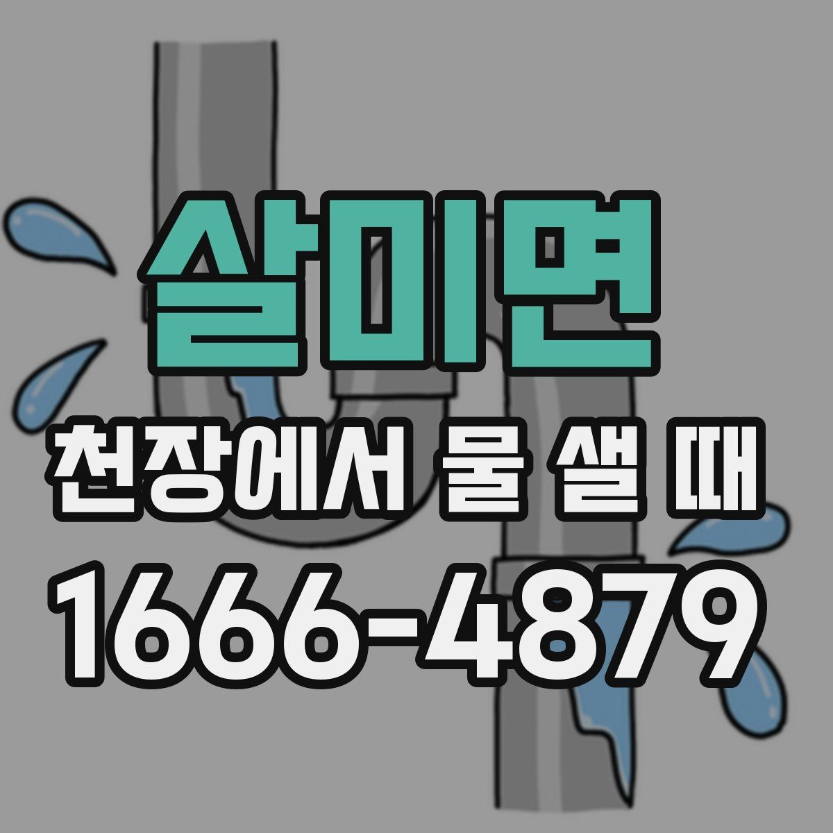 살미면 천장에서 물 샐 때