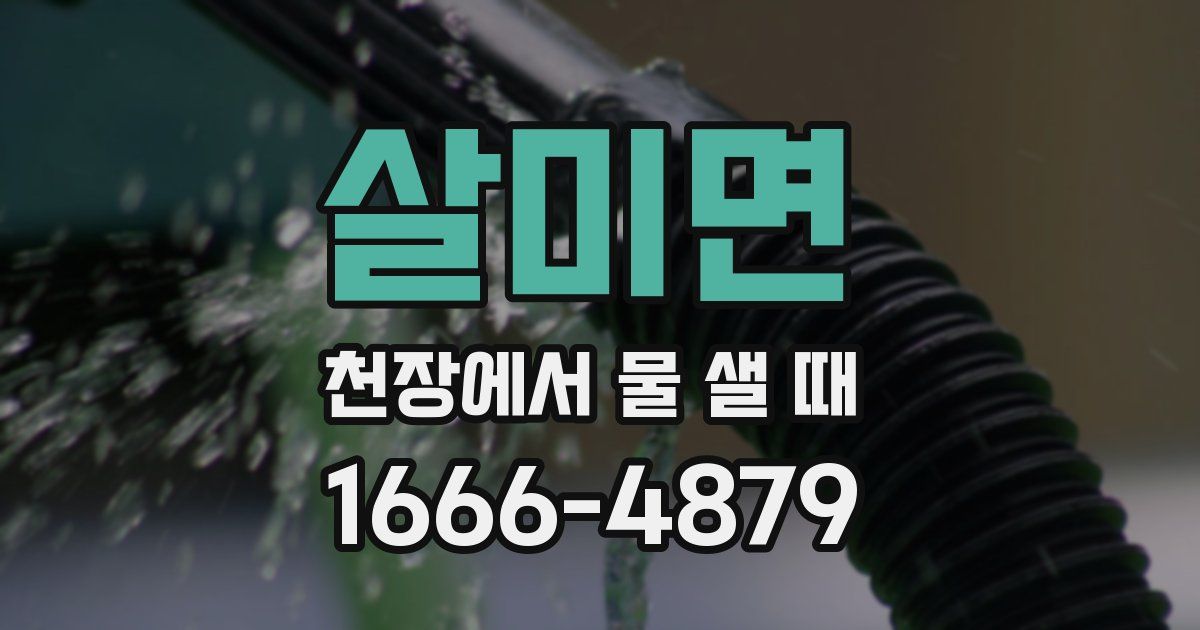 살미면 천장에서 물 샐 때