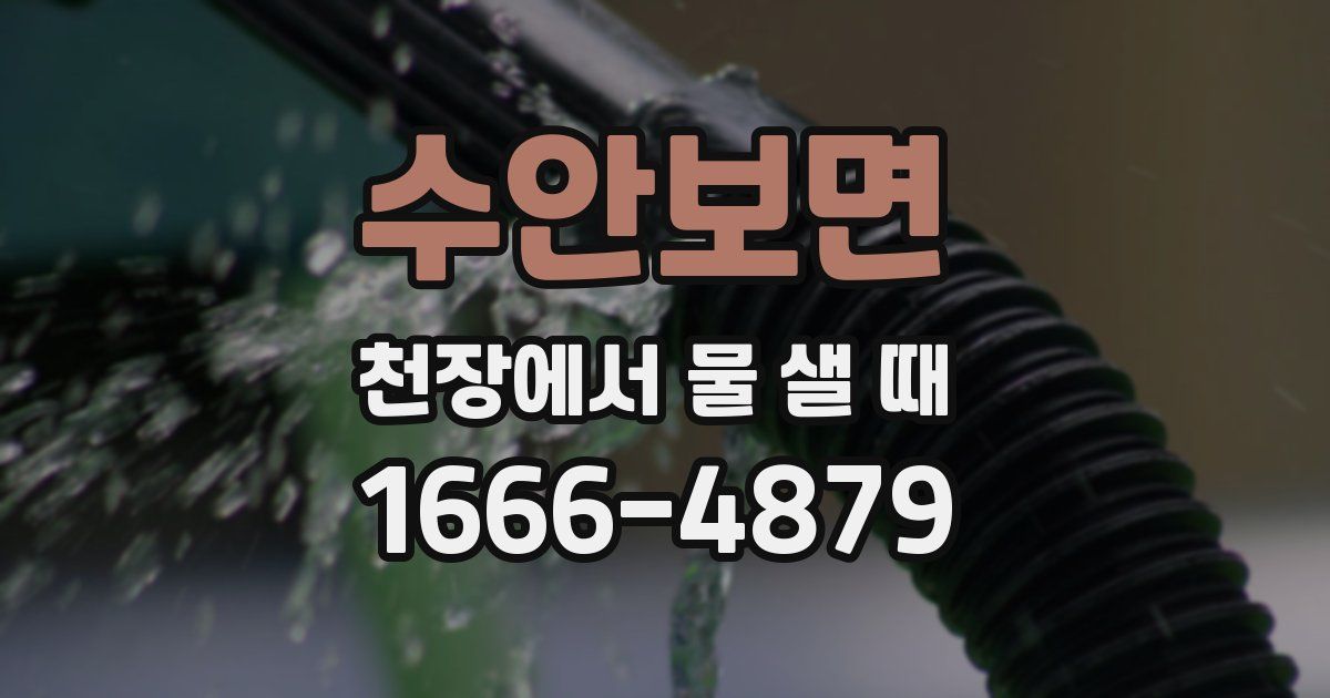 수안보면 천장에서 물 샐 때