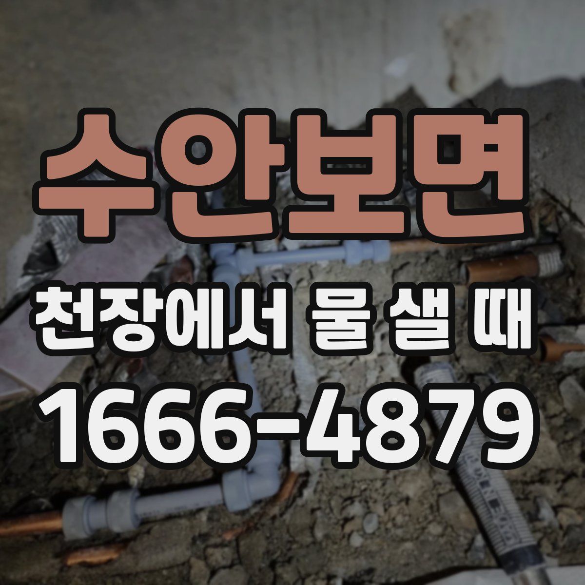 수안보면 천장에서 물 샐 때