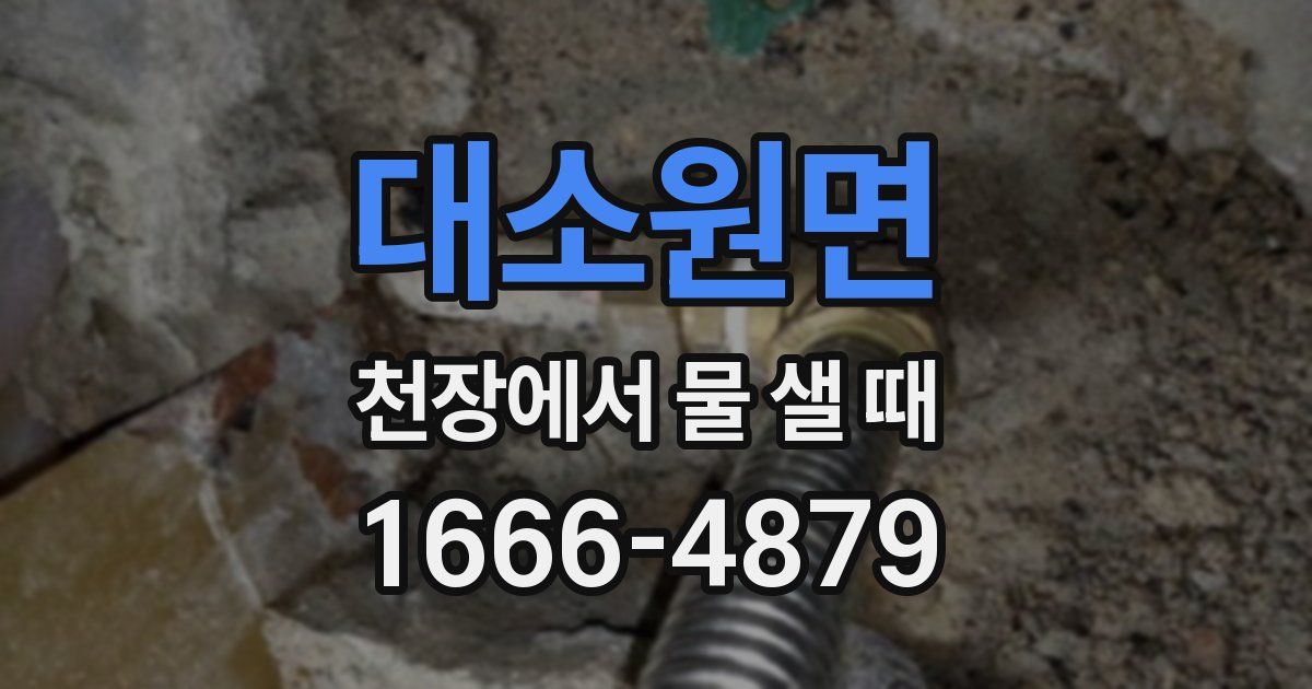 대소원면 천장에서 물 샐 때