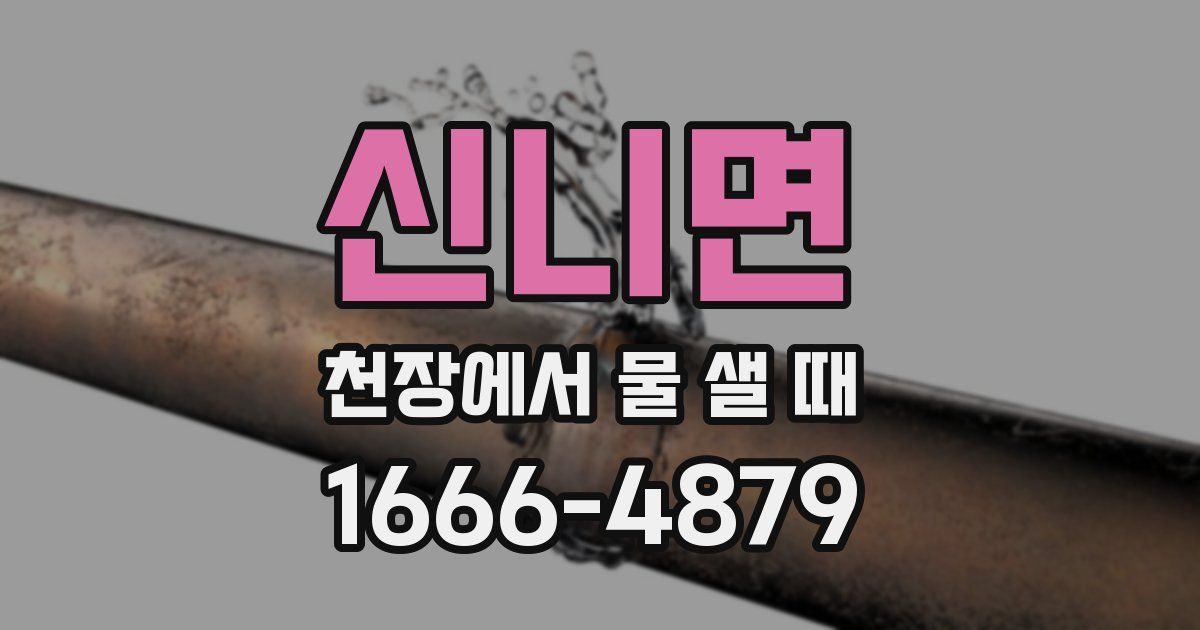 신니면 천장에서 물 샐 때