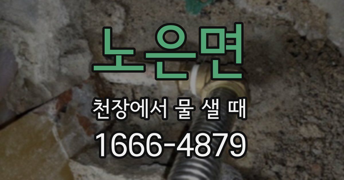노은면 천장에서 물 샐 때