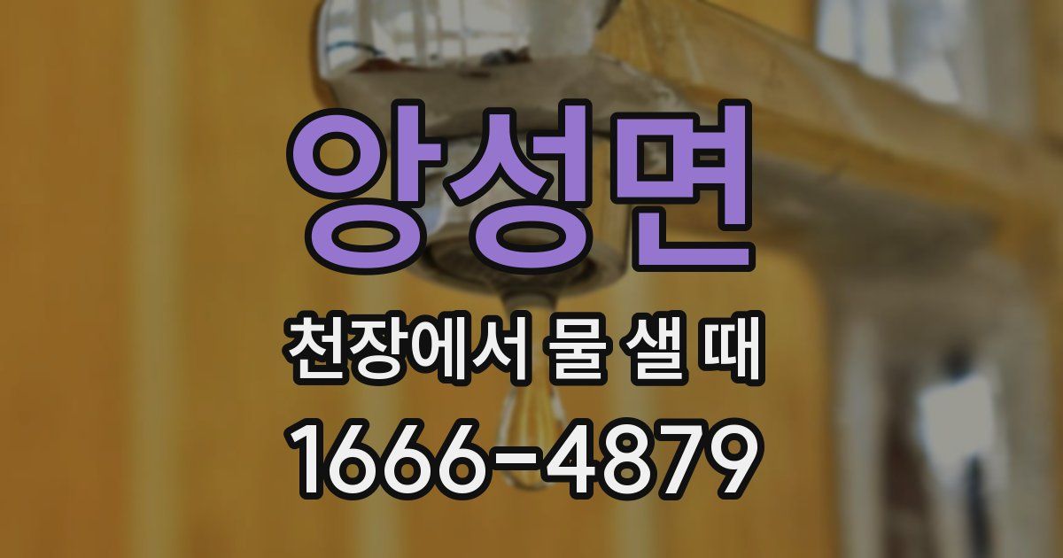 앙성면 천장에서 물 샐 때
