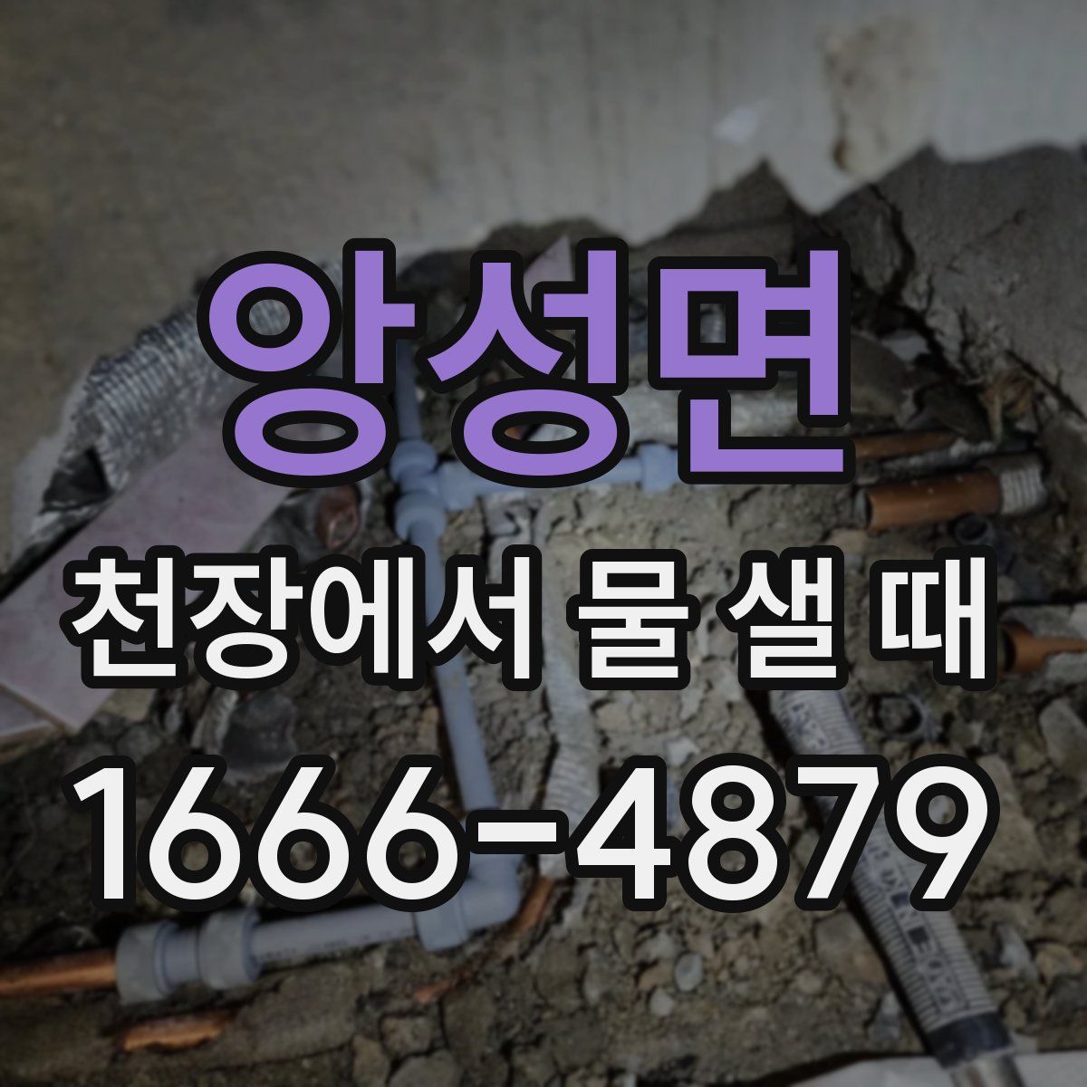 앙성면 천장에서 물 샐 때