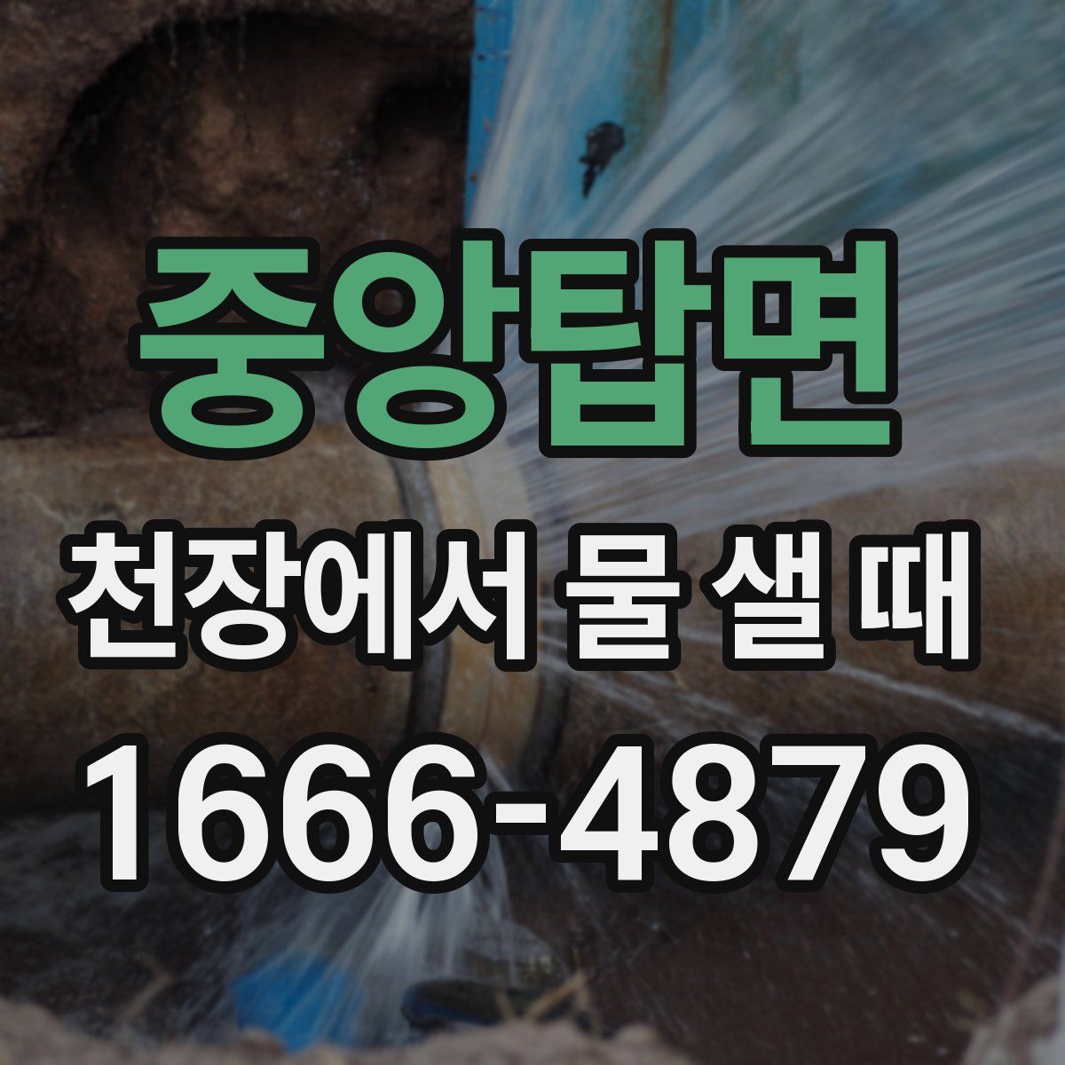 중앙탑면 천장에서 물 샐 때