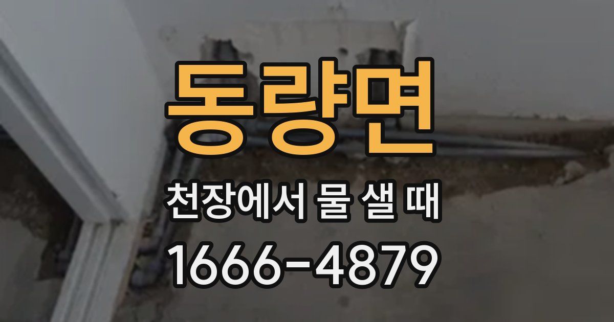 동량면 천장에서 물 샐 때