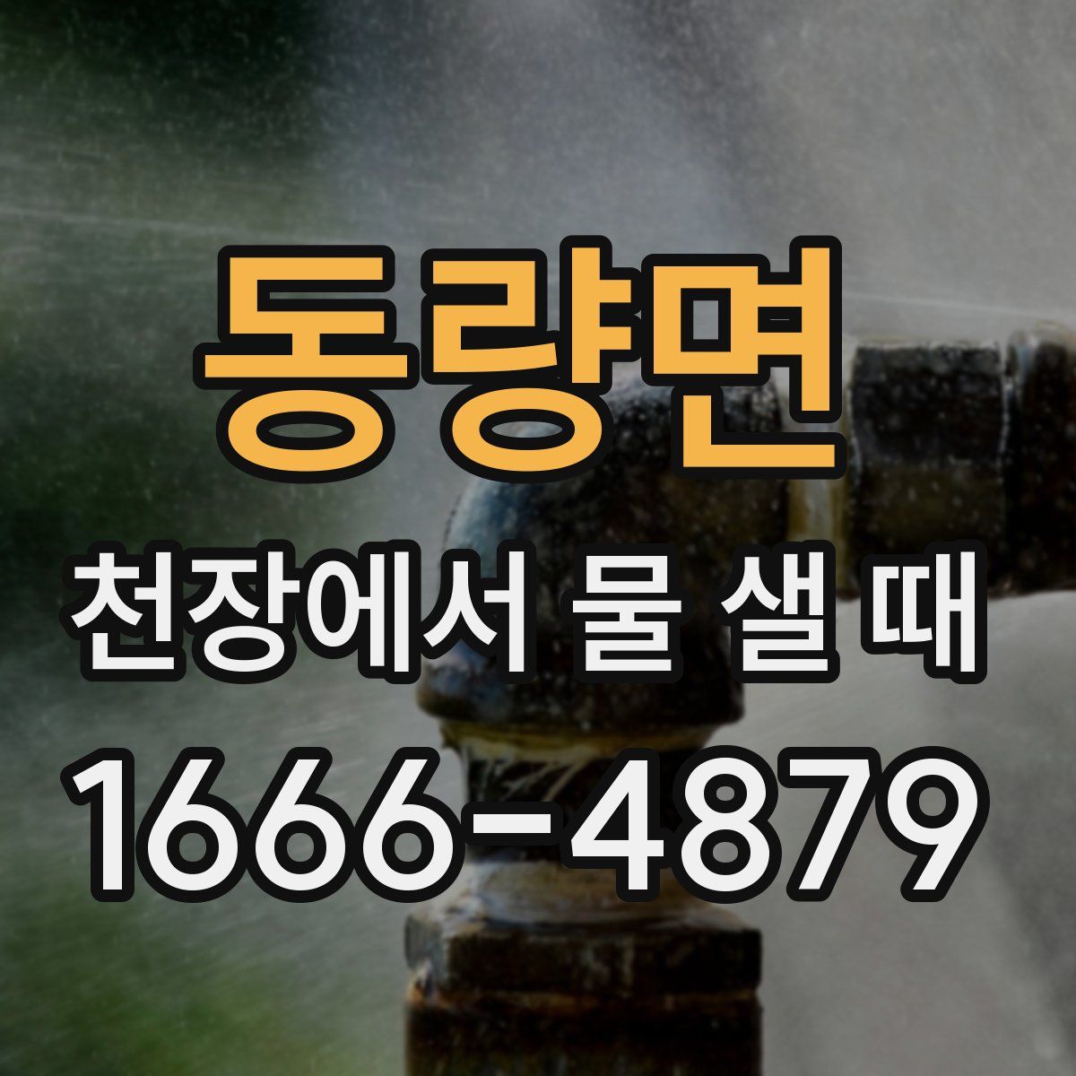 동량면 천장에서 물 샐 때