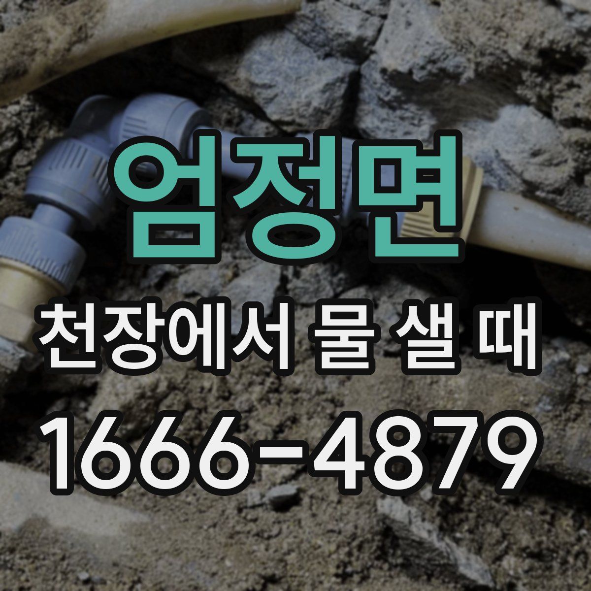 엄정면 천장에서 물 샐 때