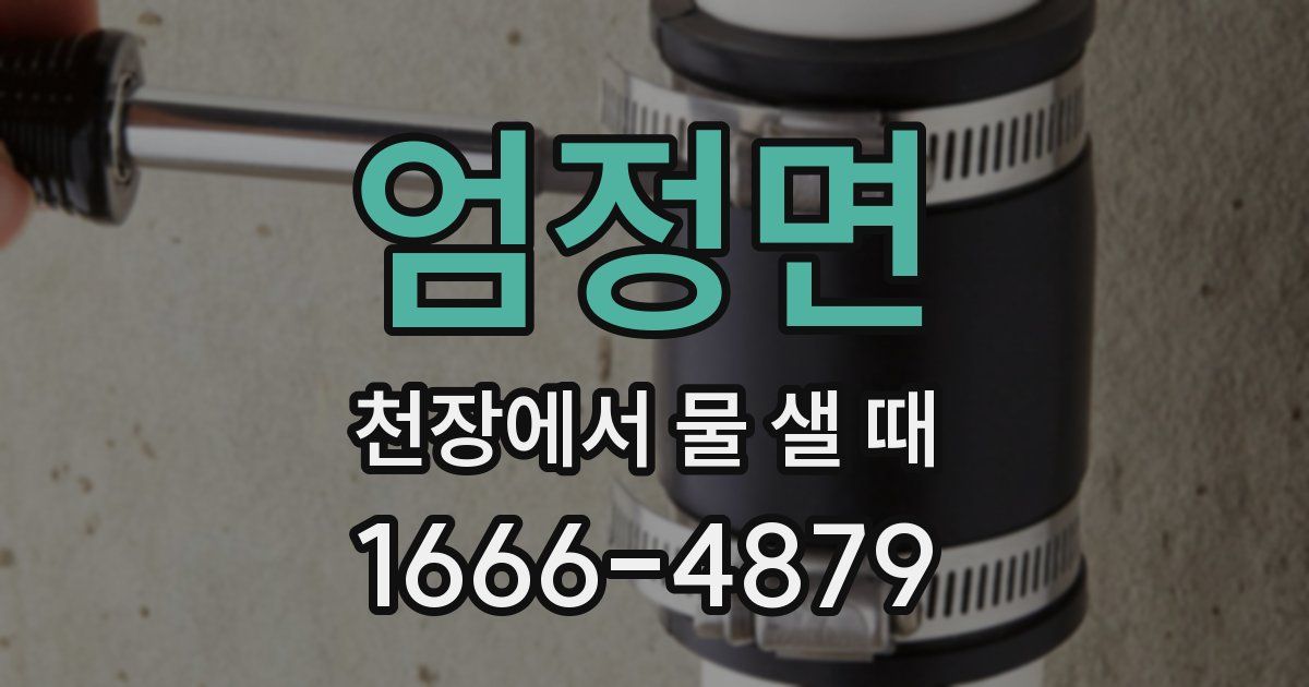 엄정면 천장에서 물 샐 때