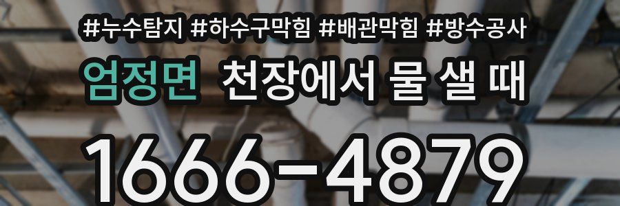 엄정면 천장에서 물 샐 때