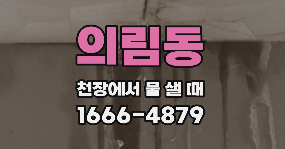 의림동 천장에서 물 샐 때