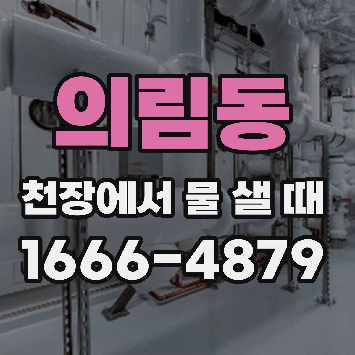 의림동 천장에서 물 샐 때