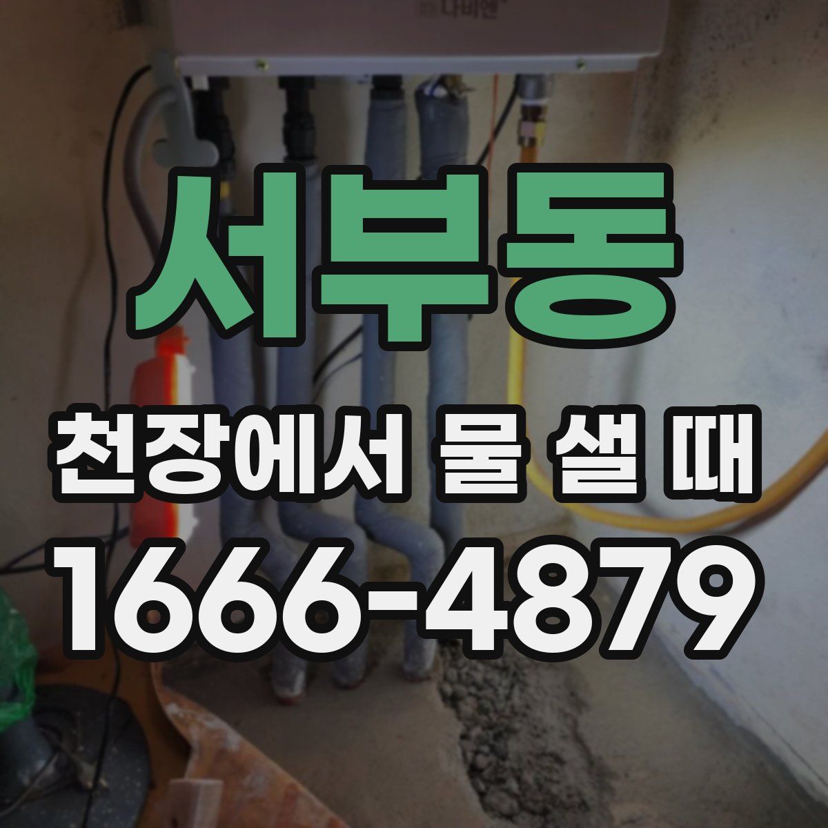 서부동 천장에서 물 샐 때