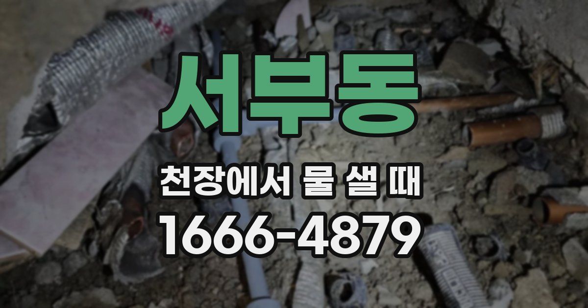 서부동 천장에서 물 샐 때