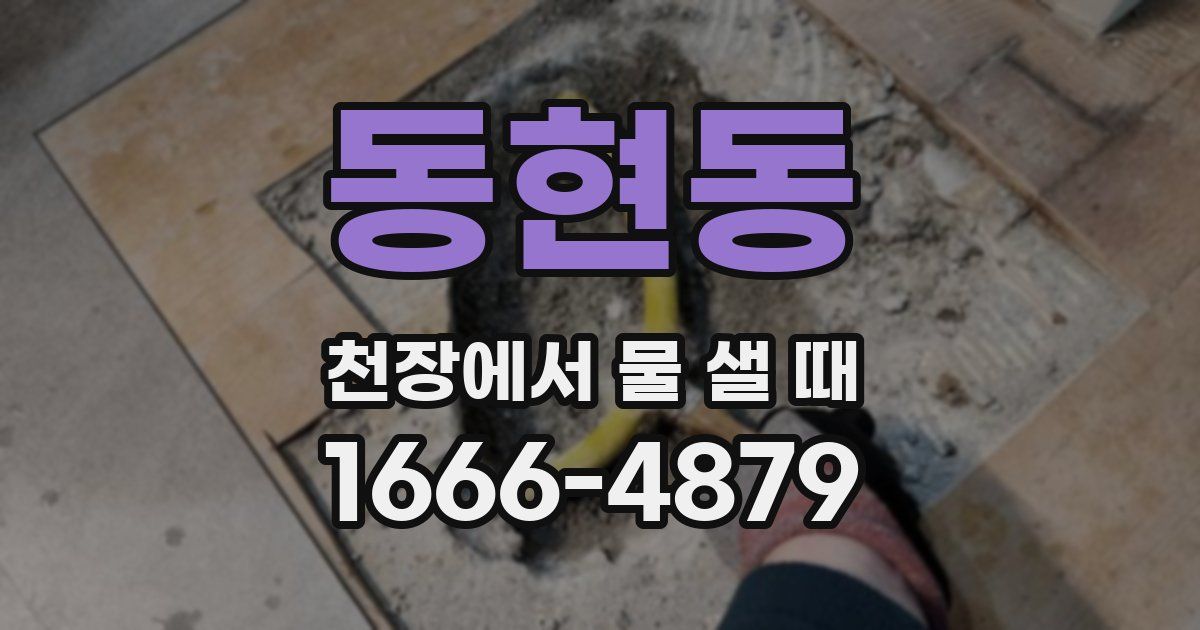 동현동 천장에서 물 샐 때