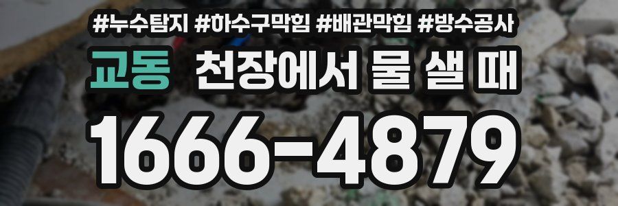 교동 천장에서 물 샐 때