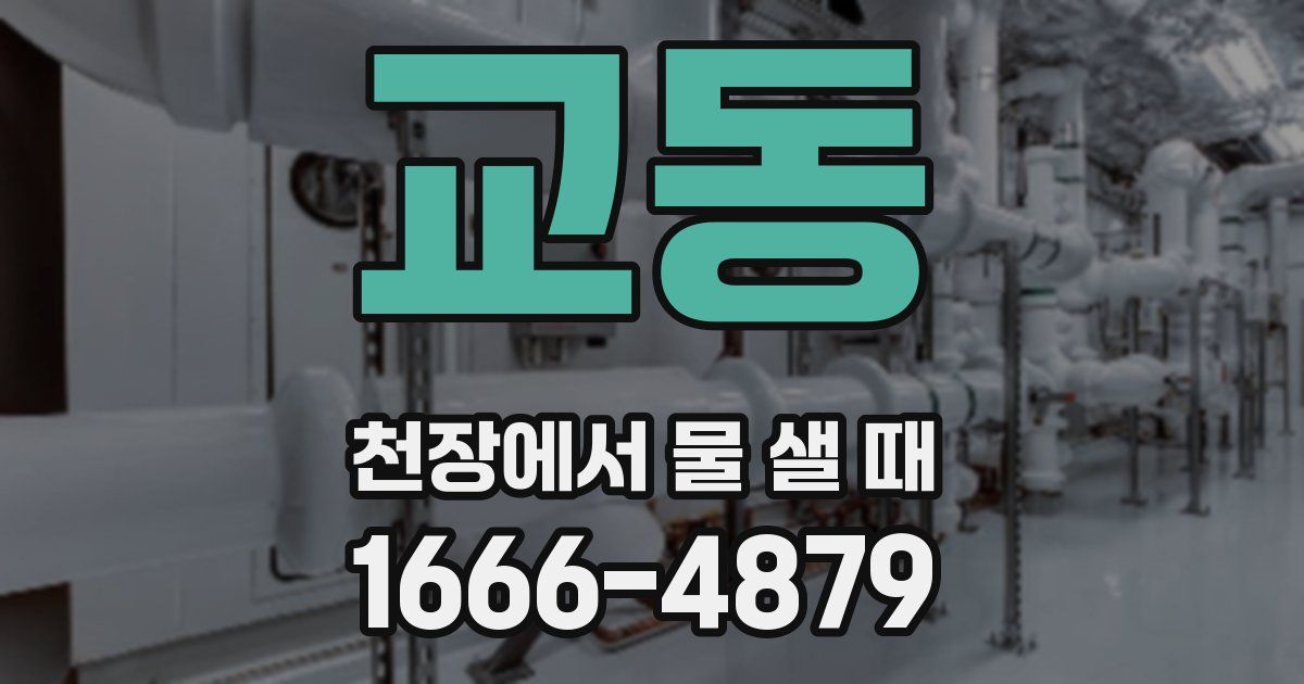 교동 천장에서 물 샐 때