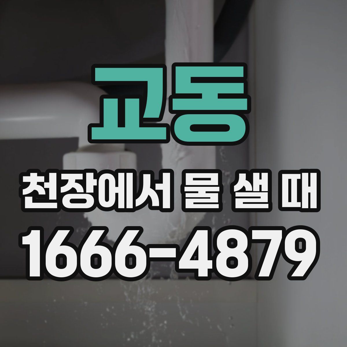 교동 천장에서 물 샐 때