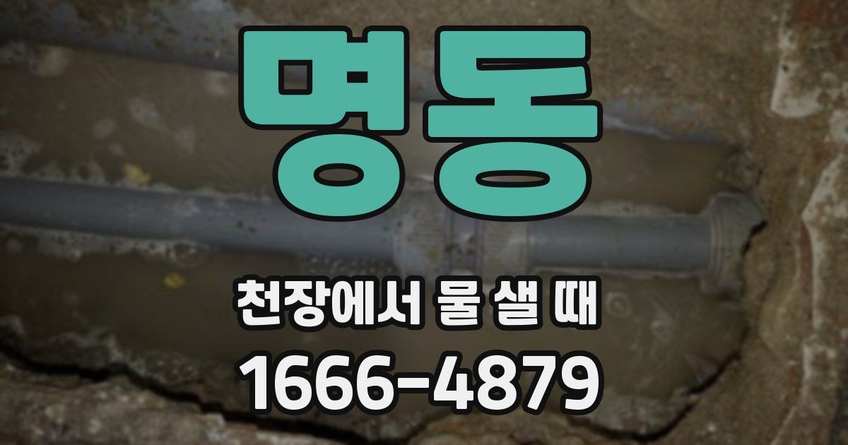 명동 천장에서 물 샐 때