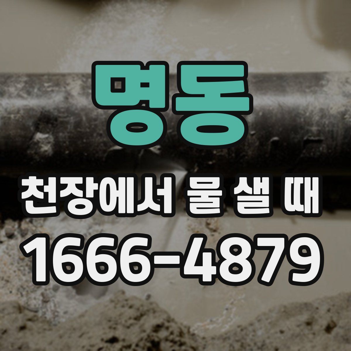 명동 천장에서 물 샐 때