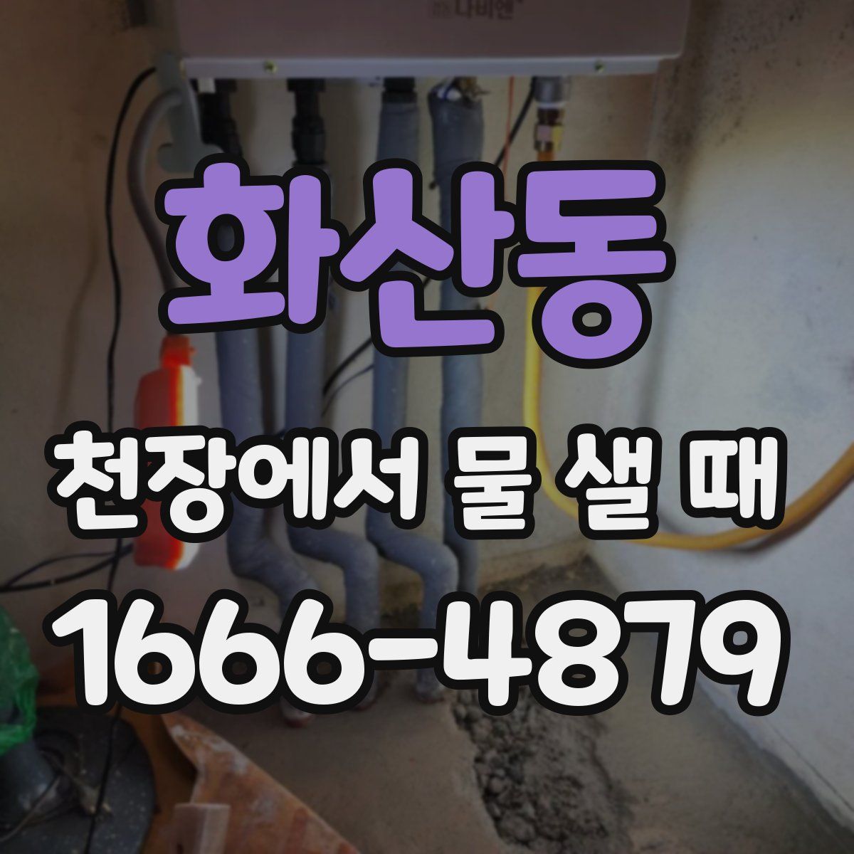 화산동 천장에서 물 샐 때
