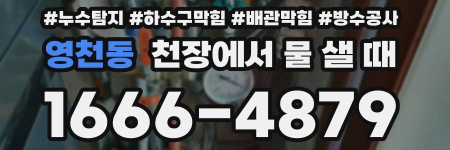 영천동 천장에서 물 샐 때