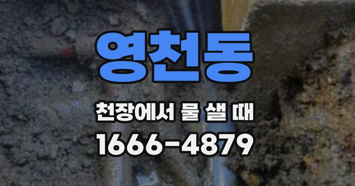 영천동 천장에서 물 샐 때