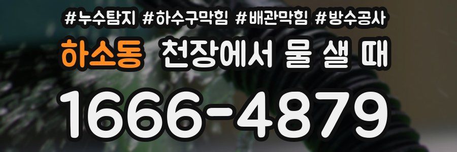 하소동 천장에서 물 샐 때