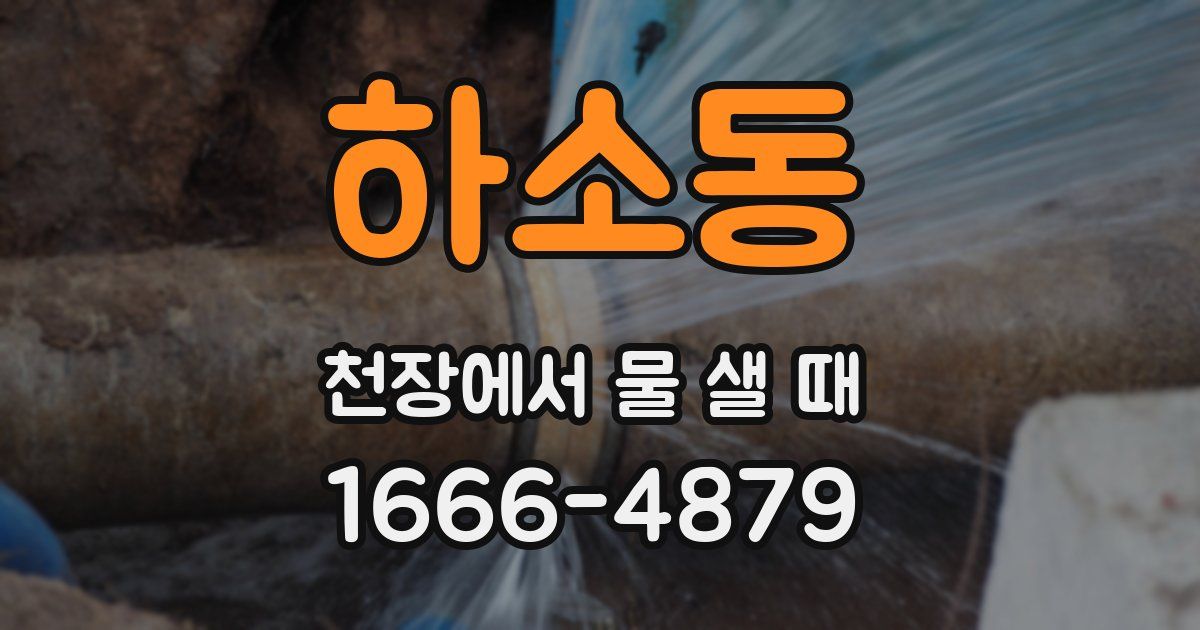 하소동 천장에서 물 샐 때