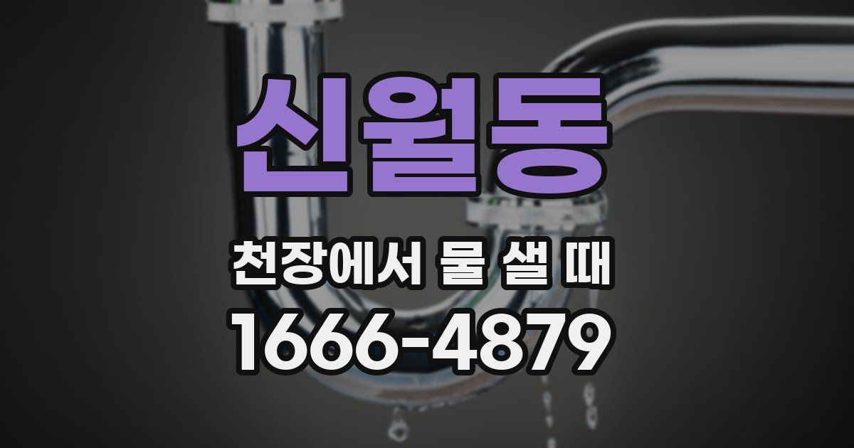 신월동 천장에서 물 샐 때
