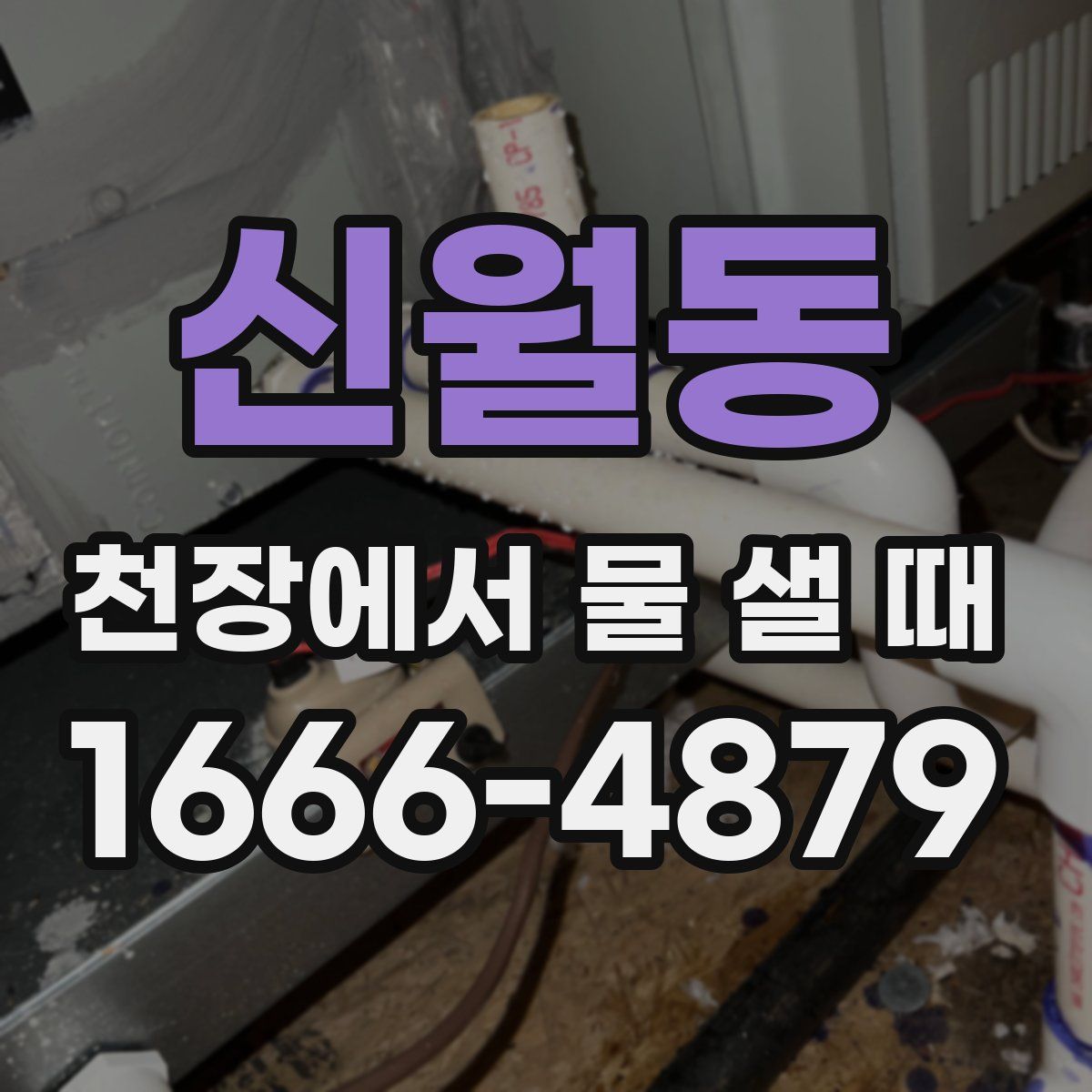 신월동 천장에서 물 샐 때