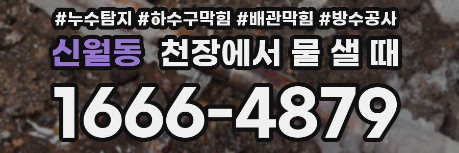 신월동 천장에서 물 샐 때