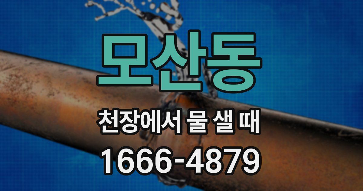 모산동 천장에서 물 샐 때