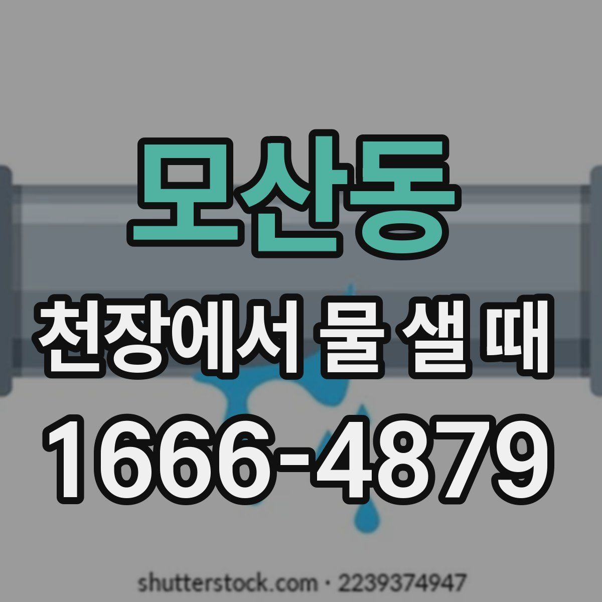 모산동 천장에서 물 샐 때