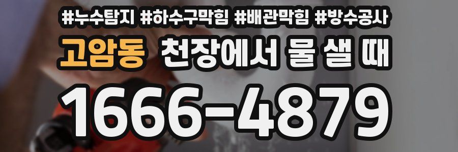 고암동 천장에서 물 샐 때