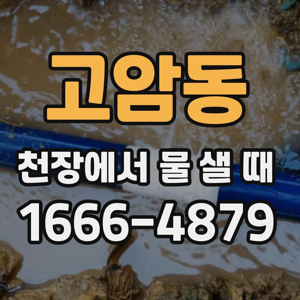 고암동 천장에서 물 샐 때